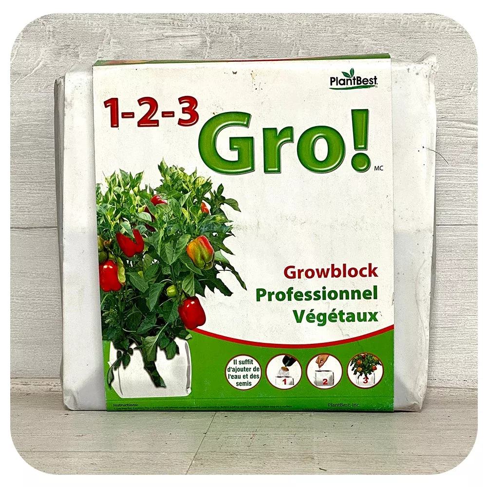1-2-3-grow-growblock 1-2-3 Grow! Growblock