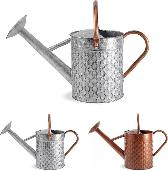 1-gallon-metal-watering-can-outdoor-indoor-plants-galvanized-watering-can-with-r 1 Gallon Metal Watering Can for Outdoor Indoor Plants, Galvanized Watering Can with Removable Spray Spout, Ideal for Garden Watering