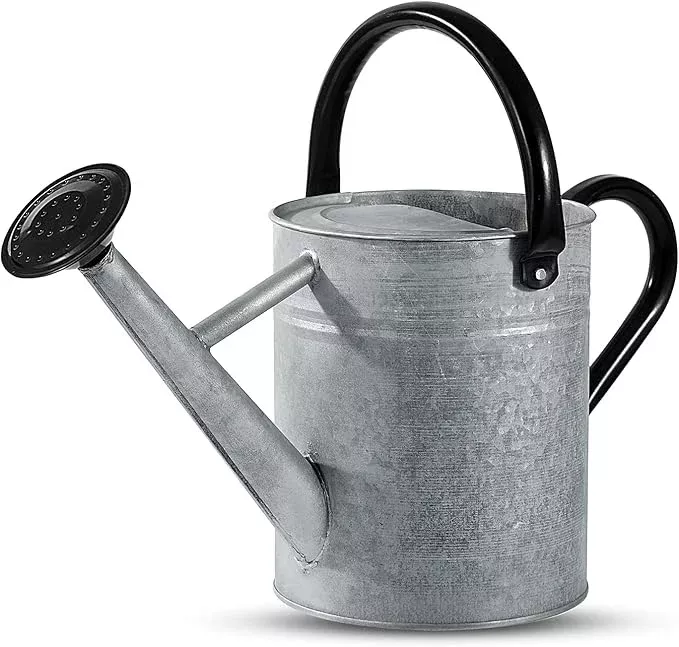 1-gallon-watering-can-plants-watering-cans-indoor-outdoor-gardening-galvanized-s 1 Gallon Watering Can for Plants, Watering Cans for Indoor&Outdoor Gardening, Galvanized Steel Watering Pot with Removable Spout, Metal Water Can with Ergonomic Movable Handle(Copper)