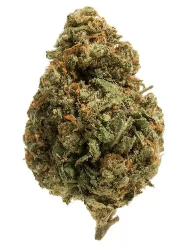 38-special-clone .38 Special Clone