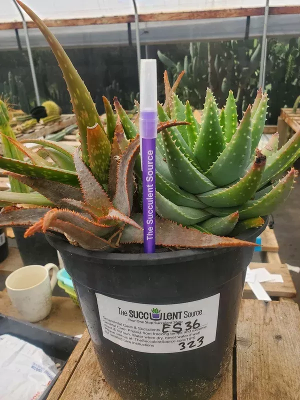 es36-exact-aloe-three-pack-in-1-gallon-container #ES36 EXACT Aloe Three Pack in 1 Gallon Container