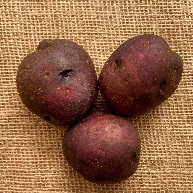 harvest-moon-potato-2-pound-bag ‘Harvest Moon’ Potato – 2 Pound Bag