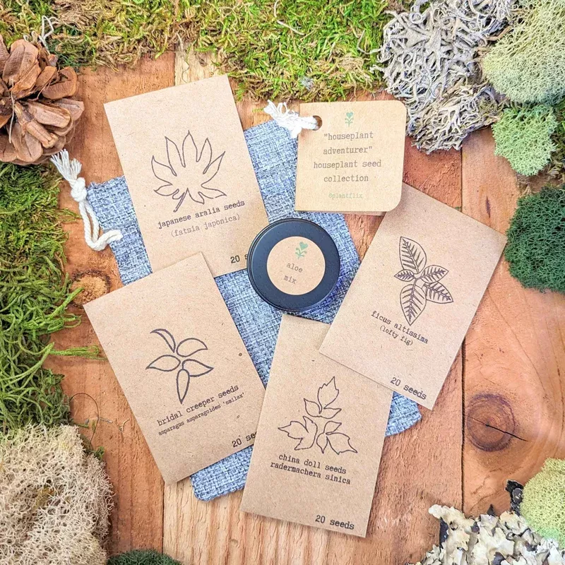 houseplant-adventurer-houseplant-seed-collection "Houseplant Adventurer" Houseplant Seed Collection