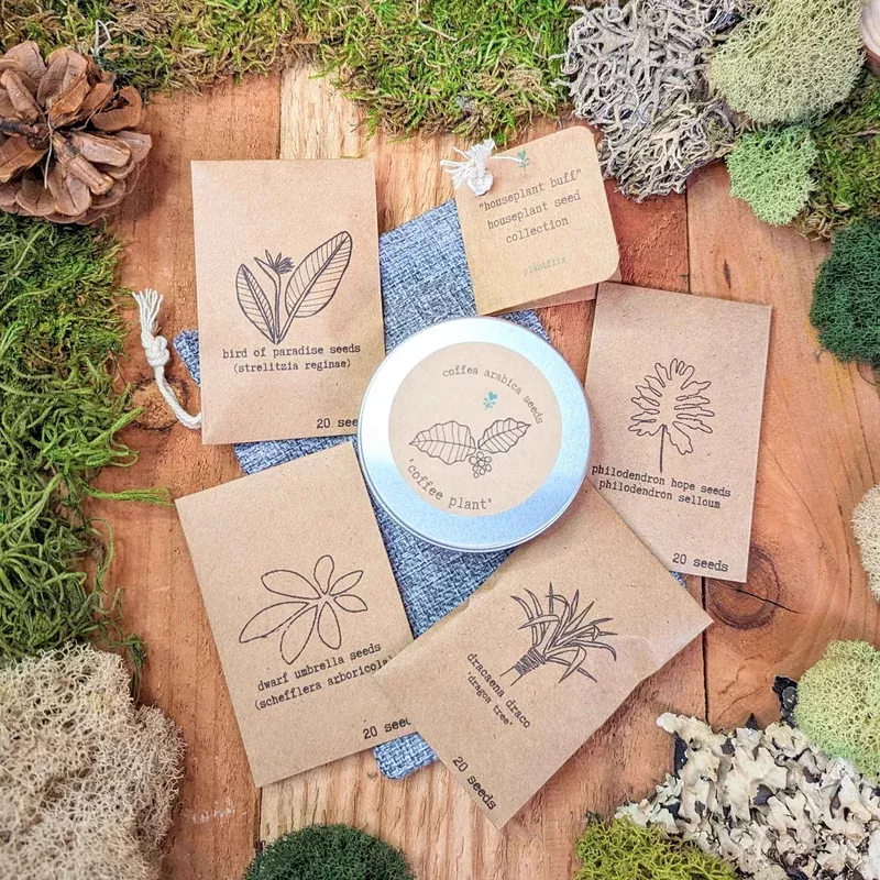 houseplant-buff-houseplant-seed-collection "Houseplant Buff" Houseplant Seed Collection